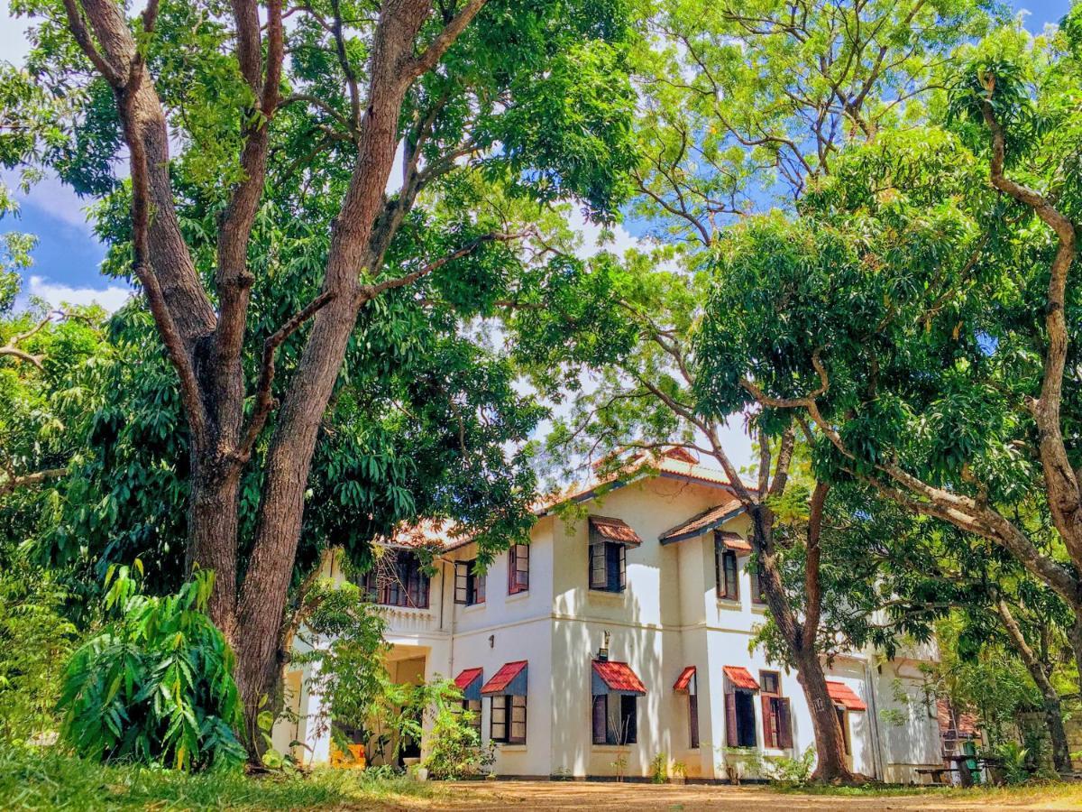 Fig And Gecko Hostel Anurâdhapura Extérieur photo
