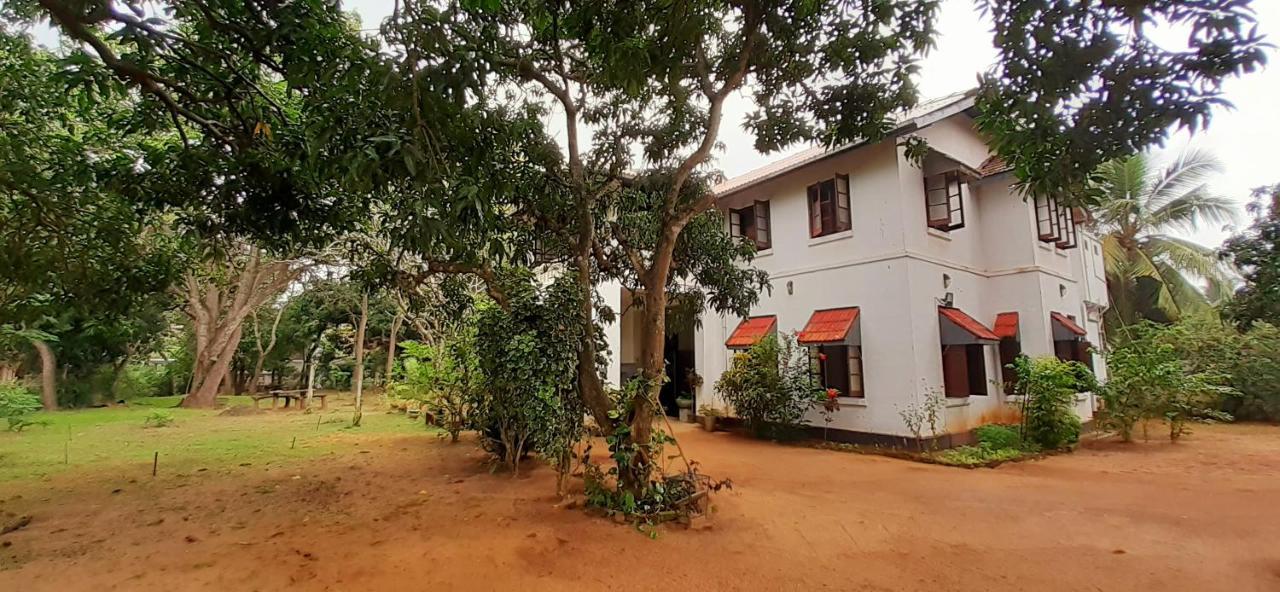 Fig And Gecko Hostel Anurâdhapura Extérieur photo