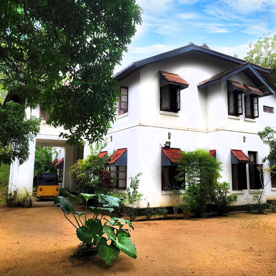 Fig And Gecko Hostel Anurâdhapura Extérieur photo