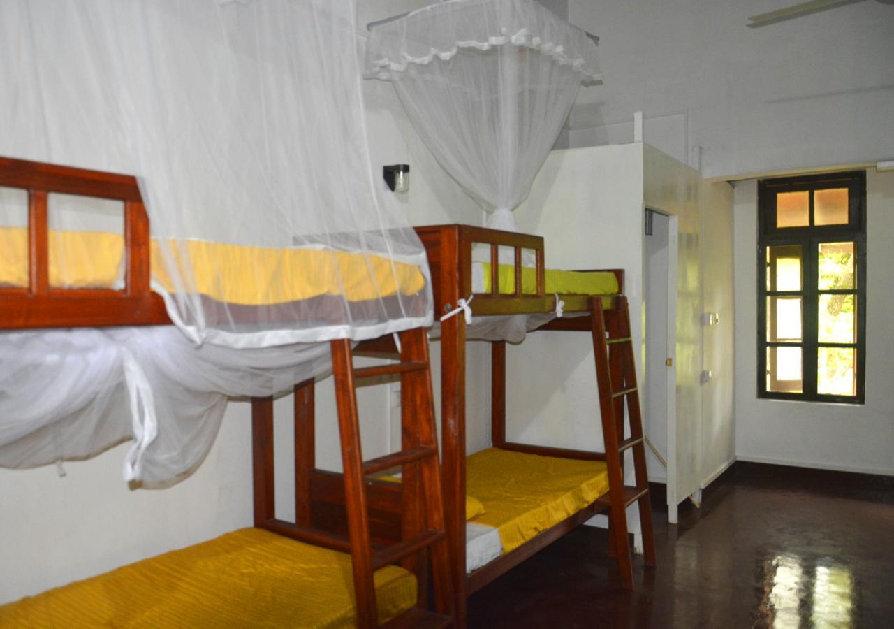 Fig And Gecko Hostel Anurâdhapura Extérieur photo