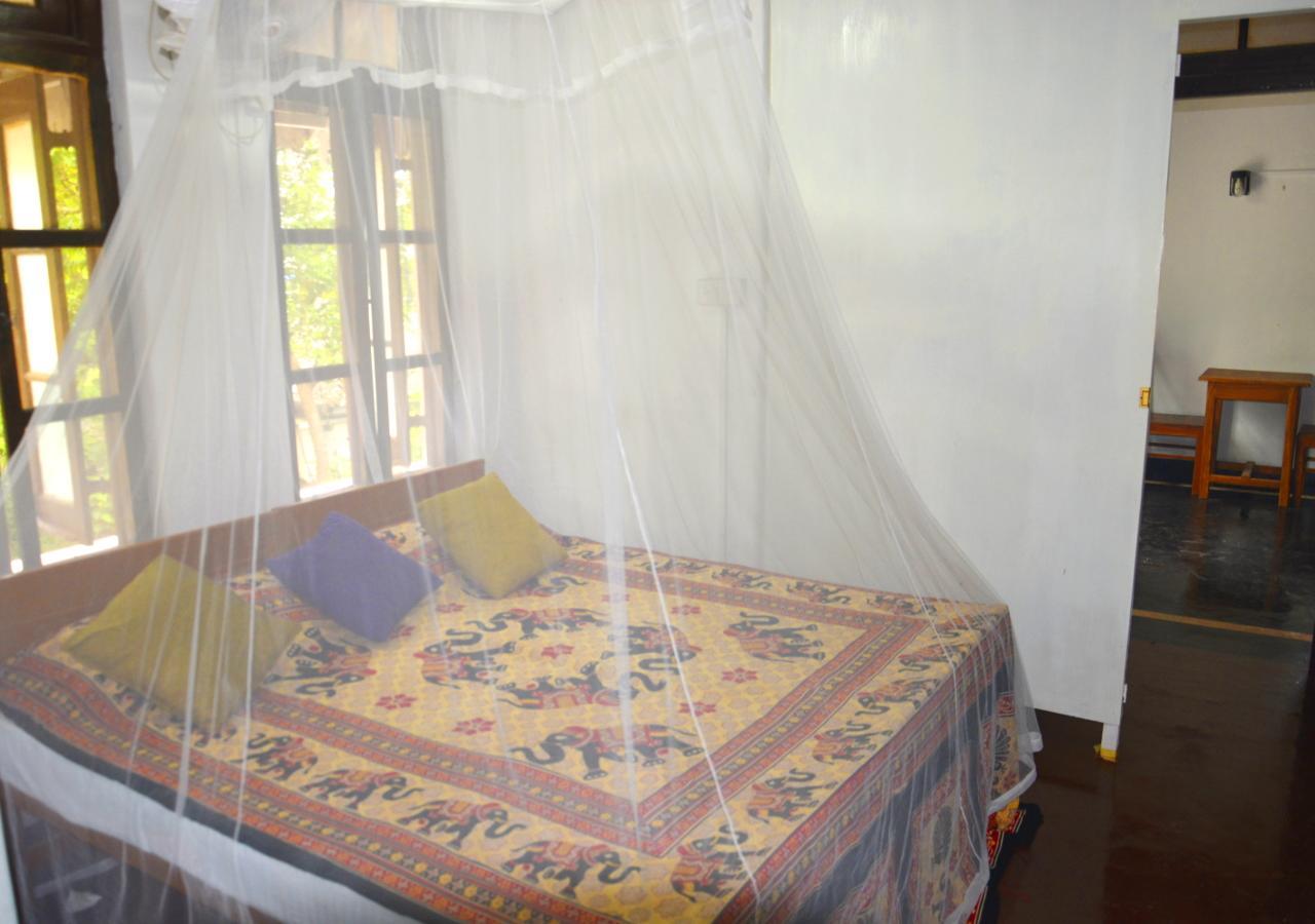 Fig And Gecko Hostel Anurâdhapura Extérieur photo