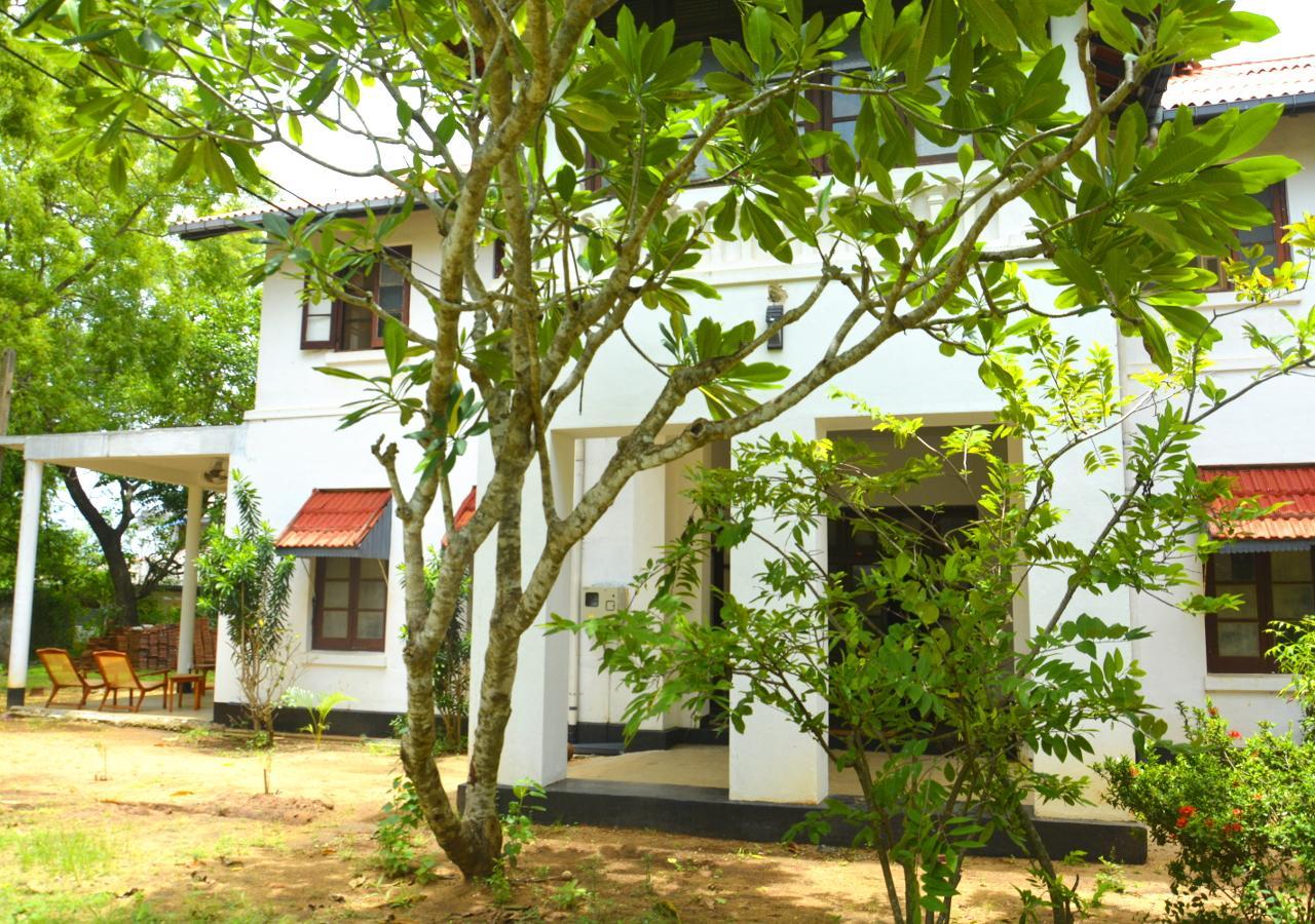 Fig And Gecko Hostel Anurâdhapura Extérieur photo