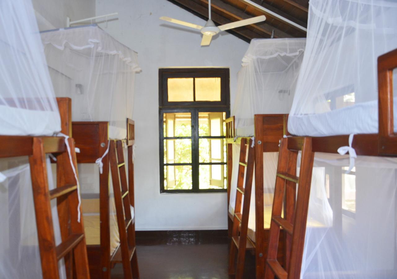 Fig And Gecko Hostel Anurâdhapura Extérieur photo